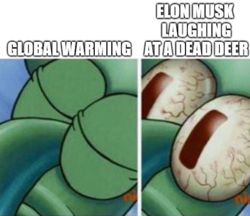 Elon is just more important, that's how mafia works - meme