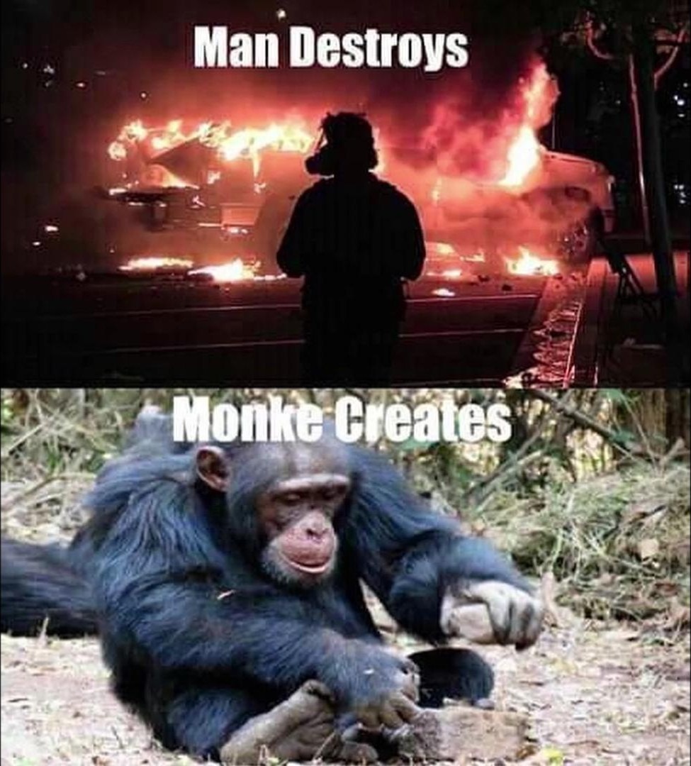 Hooman bad, Monke good. (If someone already posted this sorry) - meme