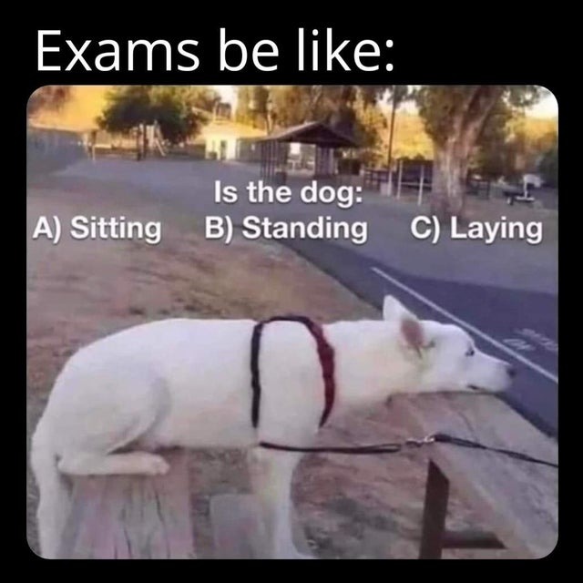 Exams be like - meme