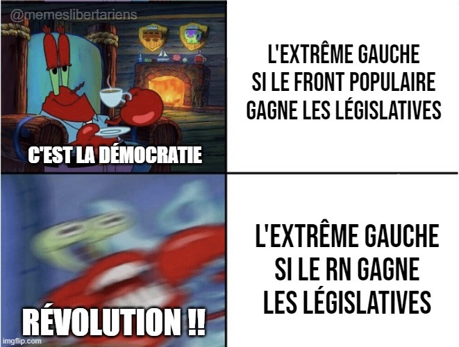 La démocratie ça marche que comme ça - meme