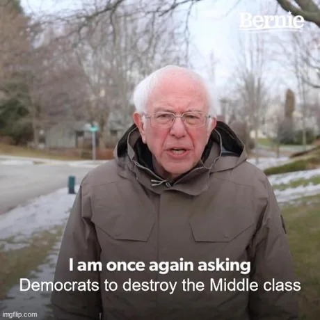 Bernie Sanders memes